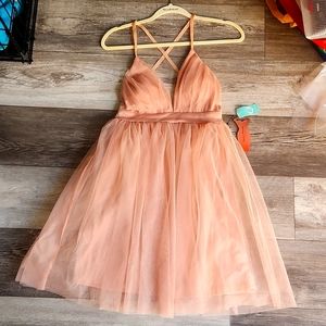 Haute Monde Blush Pink Mesh Dress (NEW)